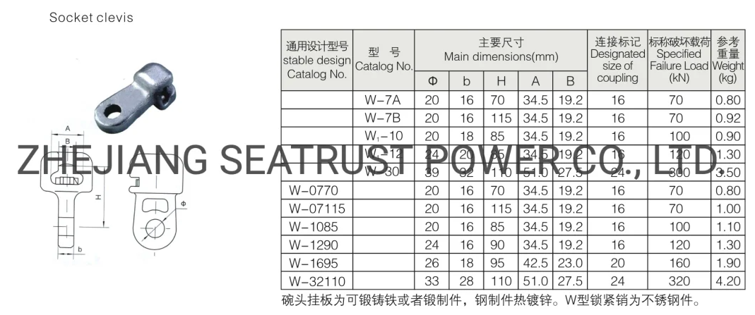 Transmission Line of Hot-DIP Galvanized Socket Clevis W-7b Link Fittings