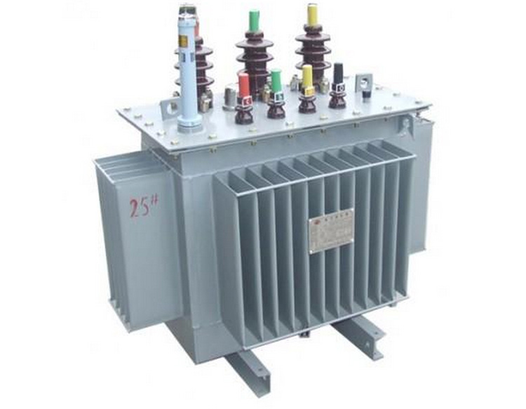 3.11kV S11 OIL IMMERSED TRANSFORMER