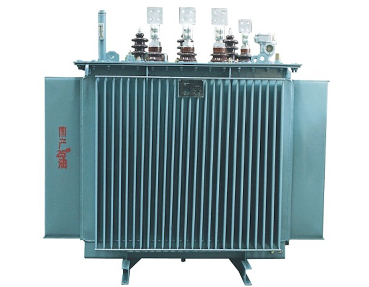 1.1kV D9 OIL IMMERSED TRANSFORMER