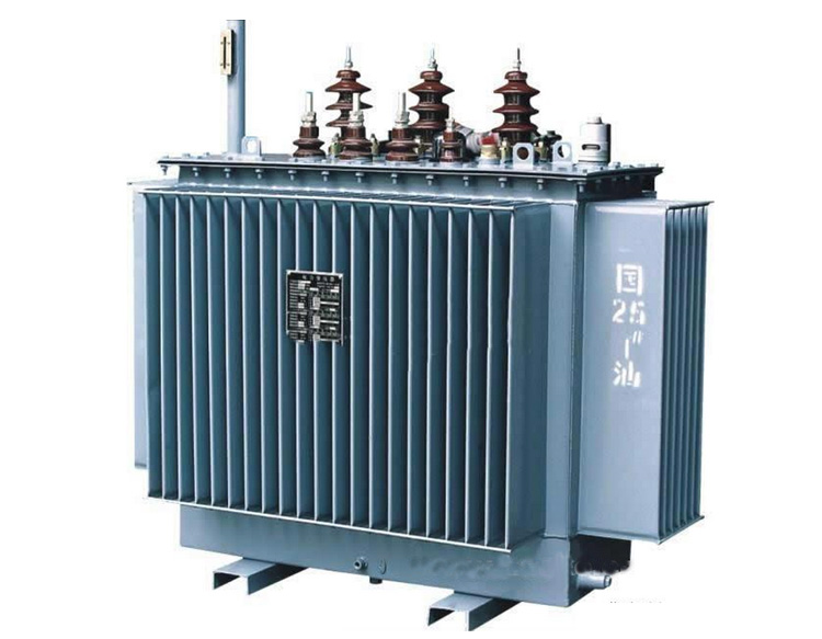 2.11kV S9,S9-M OIL IMMERSED TRANSFORMER