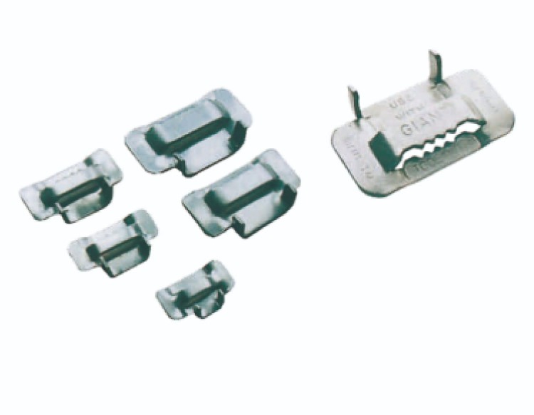 Stainless Steel Buckle
